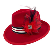 Load image into Gallery viewer, Red &amp; Navy Fade Magnetic Feather Trim
